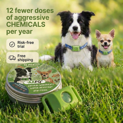 🛡️AAFQ™ pendant – Provides your dog with 12 months of natural protection.