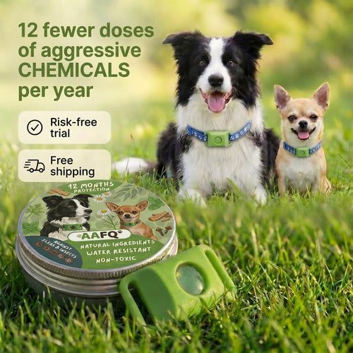 🛡️AAFQ™ pendant – Provides your dog with 12 months of natural protection.