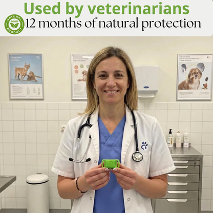 🛡️AAFQ™ pendant – Provides your dog with 12 months of natural protection.