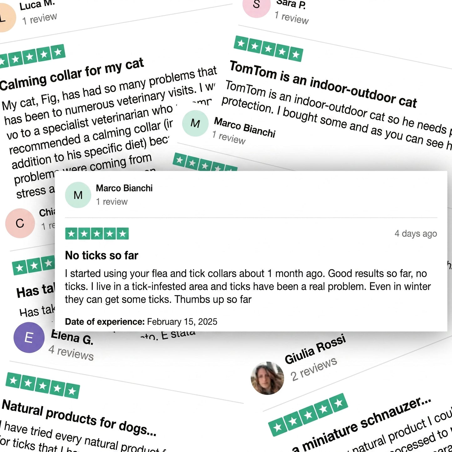 🛡️AAFQ™ pendant – Provides your dog with 12 months of natural protection.