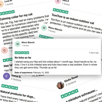 🛡️AAFQ™ pendant – Provides your dog with 12 months of natural protection.
