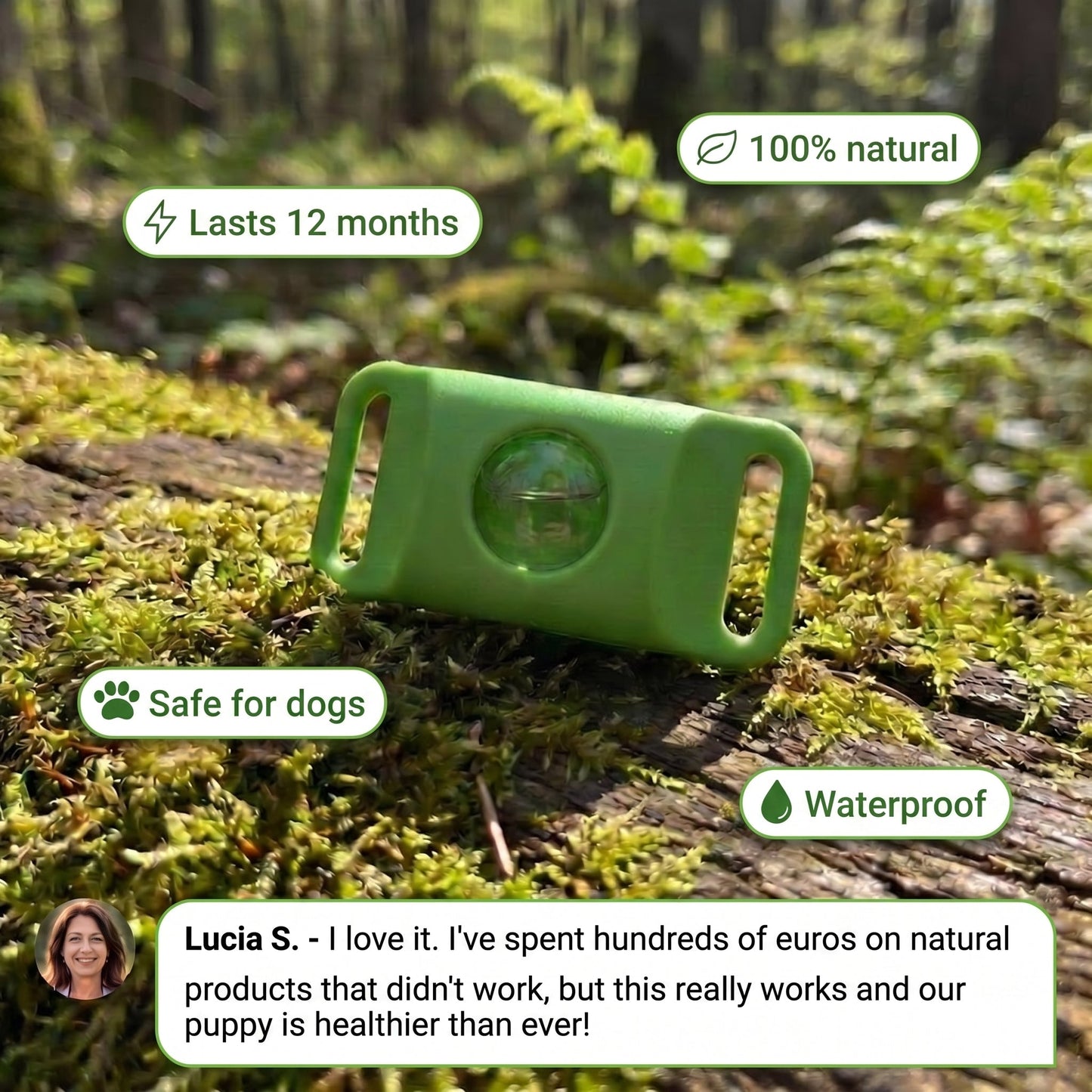 🛡️AAFQ™ pendant – Provides your dog with 12 months of natural protection.