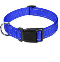 🛡️AAFQ™ pendant – Provides your dog with 12 months of natural protection.